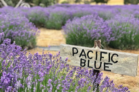 Kangaroo Island Half Day Food And Wine Trail Tour - Tourism Brisbane 5