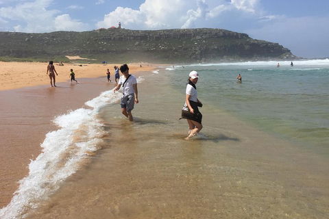 Small-Group Sydney's Northern Beaches And Ku-ring-gai National Park Bus Tour - Tourism Brisbane 5