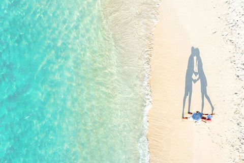 Private Coral Cay Bubbles Tour - Tourism Brisbane 0