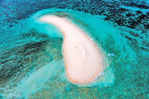 Private Coral Cay Bubbles Tour - Tourism Brisbane 3