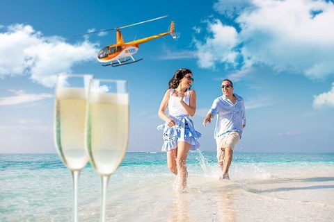 Private Coral Cay Bubbles Tour - Tourism Brisbane 4