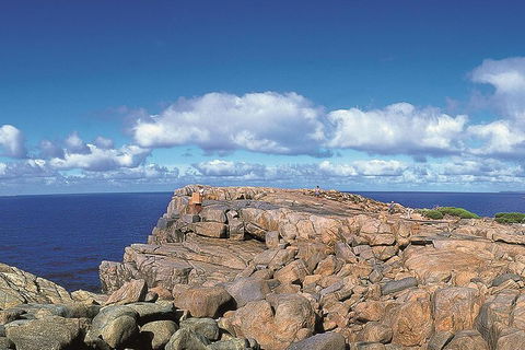 4 Day Tour: Albany, Margaret River, Valley Of The Giants TreeTop Walk From Perth - Tourism Brisbane 0