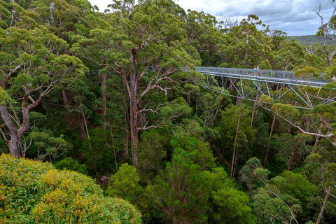 4 Day Tour: Albany, Margaret River, Valley Of The Giants TreeTop Walk From Perth - Tourism Brisbane 4