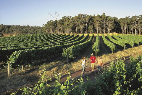 Margaret River, Caves, Wine And Cape Leeuwin Lighthouse Tour From Perth - Tourism Brisbane 1
