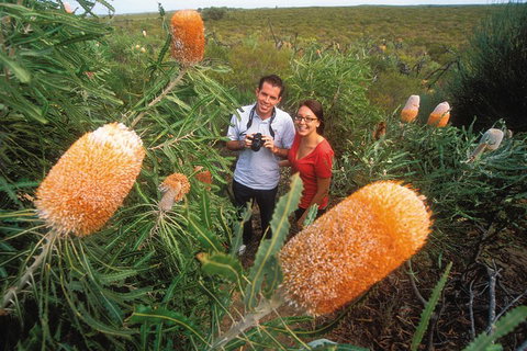 Best Of Perth Wildflower Season Day Trip - Tourism Brisbane 0