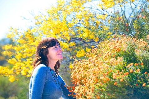 Best Of Perth Wildflower Season Day Trip - Tourism Brisbane 2