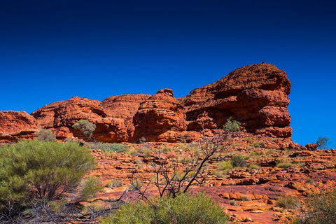 7-Day Guided Tour Of Alice Springs With Accommodation Included - Tourism Brisbane 4