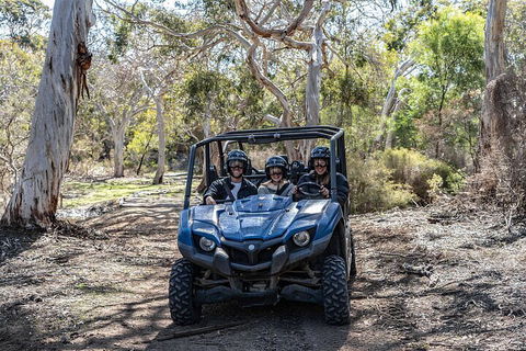 Small-Group Buggy Tour At Little Sahara With Guide - Tourism Brisbane 0
