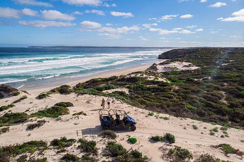 Small-Group Buggy Tour At Little Sahara With Guide - Tourism Brisbane 1