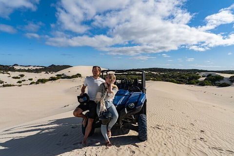 Small-Group Buggy Tour At Little Sahara With Guide - Tourism Brisbane 2