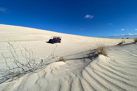Small-Group Buggy Tour At Little Sahara With Guide - Tourism Brisbane 3