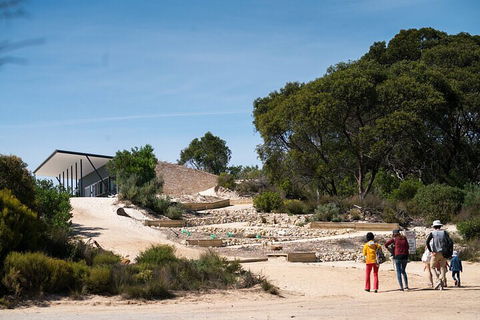 2-Hour Koala Walking Tour In Kangaroo Island - Tourism Brisbane 3