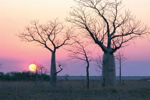 8-Day Outback Experience From Queensland - Tourism Brisbane 5