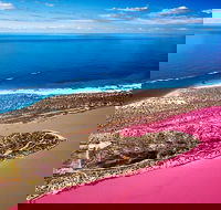 Pink Lake Small-Group Buggy Tour - Brisbane Tourism