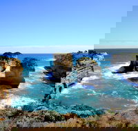 Great Ocean Road Small-Group Ecotour from Melbourne - Tourism Brisbane