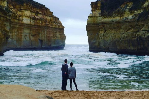 Great Ocean Road Small-Group Ecotour From Melbourne - Tourism Brisbane 1