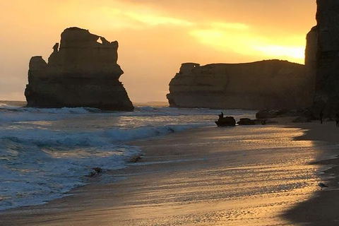 Great Ocean Road Small-Group Ecotour From Melbourne - Tourism Brisbane 5