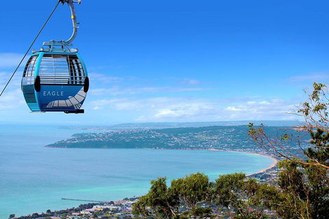 Mornington Peninsula Small Group Day Tour - Tourism Brisbane 2