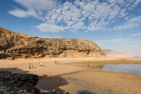 Mornington Peninsula Small Group Day Tour - Tourism Brisbane 5