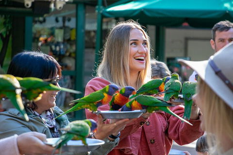 Currumbin Wildlife Sanctuary General Entry Ticket - Tourism Brisbane 3