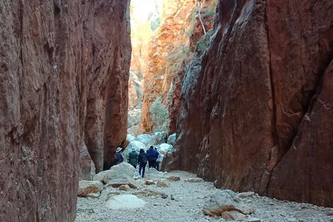 West MacDonnell Private Tour With Transfer - Tourism Brisbane 0