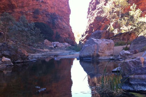 West MacDonnell Private Tour With Transfer - Tourism Brisbane 2