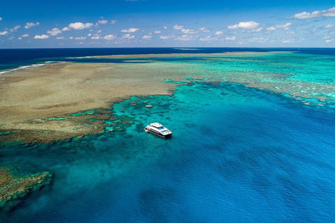 Calypso Outer Great Barrier Reef Cruise From Port Douglas - Tourism Brisbane 1