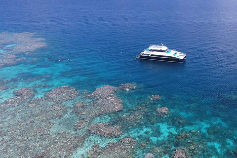 Calypso Outer Great Barrier Reef Cruise From Port Douglas - Tourism Brisbane 4