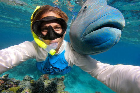 Calypso Outer Great Barrier Reef Cruise From Port Douglas - Tourism Brisbane 5
