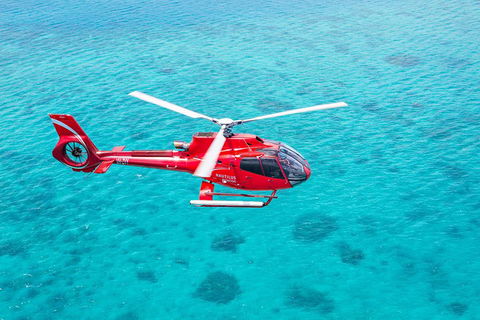 Cruise To Moore Reef Pontoon And Return Helicopter Flight From Cairns - Tourism Brisbane 1