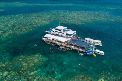Cruise To Moore Reef Pontoon And Return Helicopter Flight From Cairns - Tourism Brisbane 2