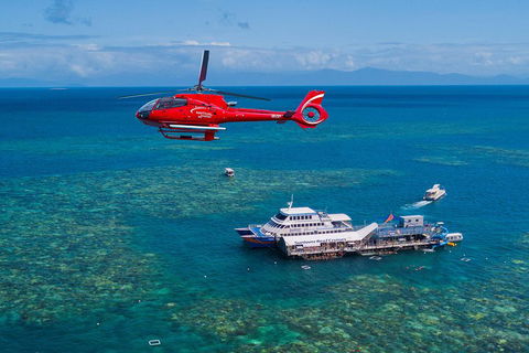 Cruise To Moore Reef Pontoon And Return Helicopter Flight From Cairns - Tourism Brisbane 4