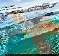 Scenic Helicopter Flight to Moore Reef and Return Snorkeling Cruise from Cairns