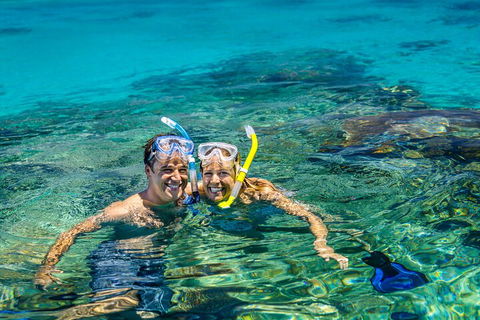 Fly To Green Island - Cruise Return - Tourism Brisbane 2