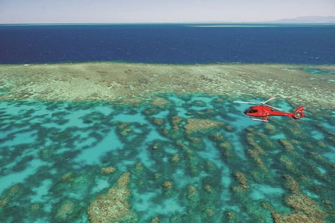 Ultimate Great Barrier Reef And Rainforest 45-minute Helicopter Tour - Tourism Brisbane 1