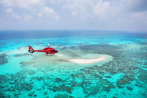Ultimate Great Barrier Reef And Rainforest 45-minute Helicopter Tour - Tourism Brisbane 3