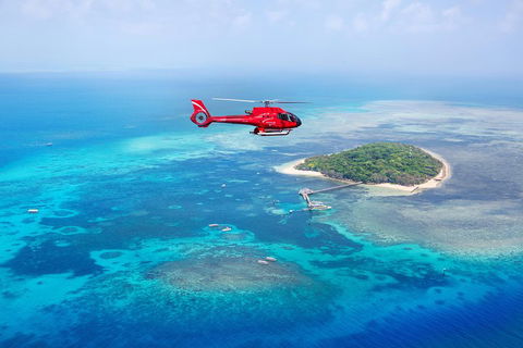 Ultimate Great Barrier Reef And Rainforest 45-minute Helicopter Tour - Tourism Brisbane 4