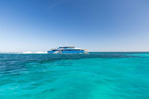 Rottnest Island Bayseeker Day Trip From Perth - Tourism Brisbane 0