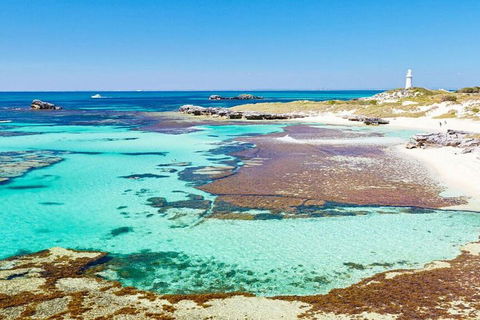 Rottnest Island Bayseeker Day Trip From Perth - Tourism Brisbane 4