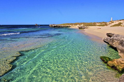 Rottnest Island Bayseeker Day Trip From Perth - Tourism Brisbane 5
