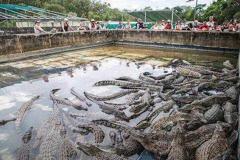 Hartley's Crocodile Adventures Day Trip From Palm Cove - Brisbane Tourism 0