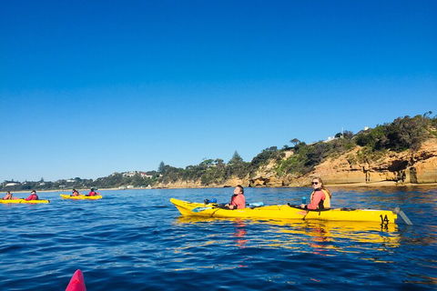 Mornington Peninsula Kayak Coastline Tour Of Dolphin Sanctuary - Tourism Brisbane 1