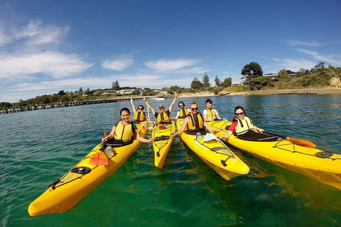 Mornington Peninsula Kayak Coastline Tour Of Dolphin Sanctuary - Tourism Brisbane 2