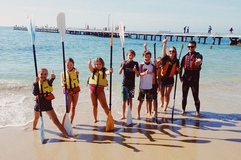 Mornington Peninsula Kayak Coastline Tour Of Dolphin Sanctuary - Tourism Brisbane 3
