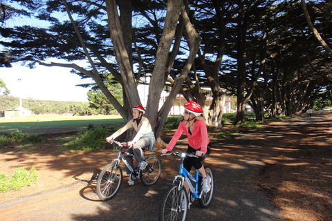 Self-Guided Point Nepean National Park Bike Hire - Tourism Brisbane 2