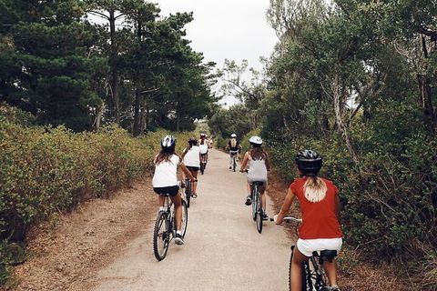 Self-Guided Point Nepean National Park Bike Hire - Tourism Brisbane 3