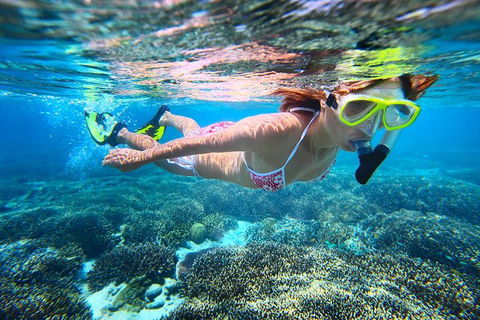 Abrolhos Islands Scenic Flight & Snorkel Adventure From Perth - Tourism Brisbane 1