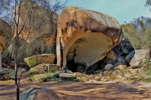 Wave Rock & Rottnest Island - Air & Ground Tour - Brisbane 4u 4