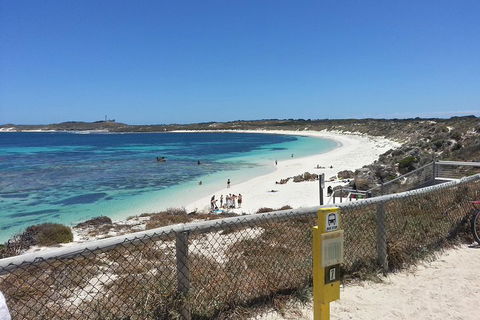 Wave Rock, Pinnacles And Rottnest One Day Aeroplane Tour - Tourism Brisbane 2