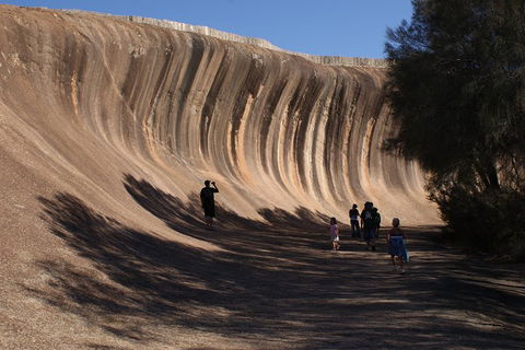 Wave Rock, Pinnacles And Rottnest One Day Aeroplane Tour - Tourism Brisbane 4